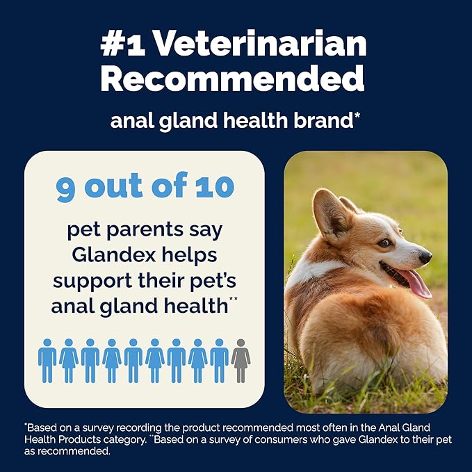 Vetnique Glandex Medicated Dog Butt Wipes or Spray for Dog Scooting - Topical Anti Itch Skin Relief for Soothing Inflamed Anal Glands in Dogs & Cats - Fast Acting Formula (4oz Spray)