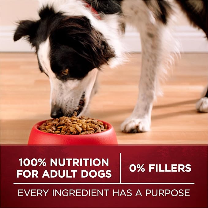 Purina One True Instinct Dry Dog Food, Muscle & Joint Support, Grain-Free Real Beef - 12.5 lb Bag