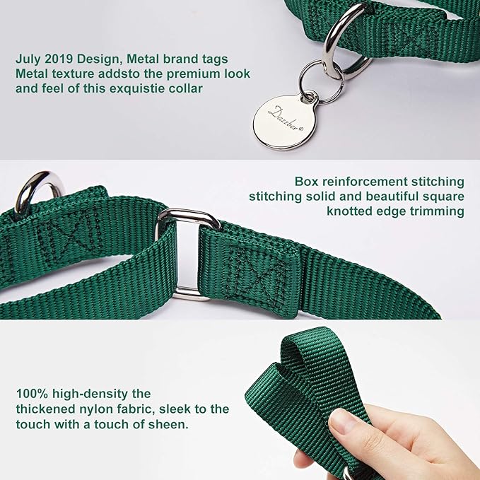 Martingale Dog Collar, Escape-Proof and No Slip Design, Heavy-Duty Nylon with Metal Buckle, Adjustable for Small, Medium & Large Dogs, Colorfast for Training, Daily Walks (Dark Green, M)