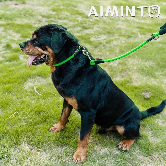 Dog Leash, Braided Rope Traction – Walking Training Lead for Medium/Large Dogs ((1/2") x 6FT, Light Green)