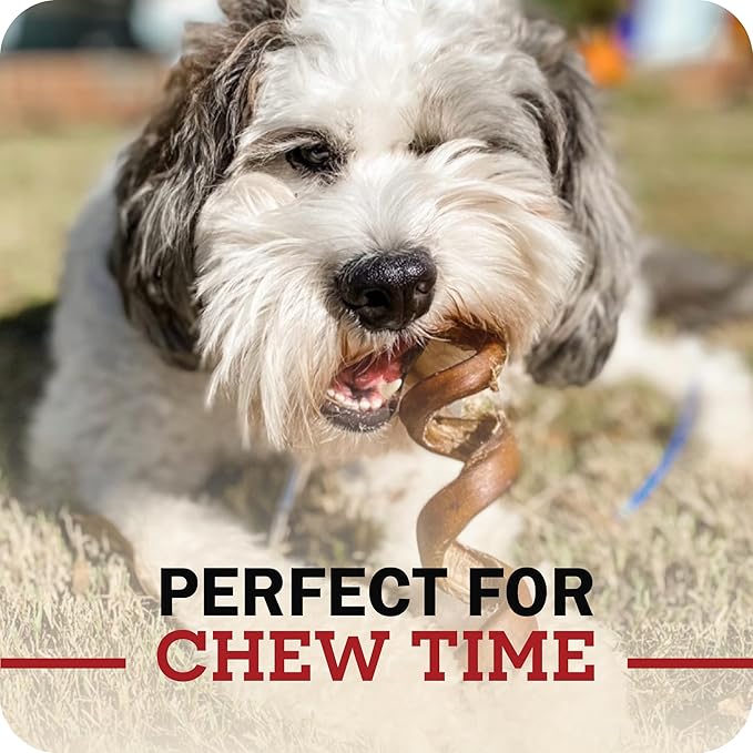 Redbarn Pet Products All Natural 5"-8" Braided Bully Sticks for Small & Large Dogs - Healthy Long Lasting Beef Chews Variety Party Pack - Single Ingredient Low Odor Rawhide Free - 8 oz Bag