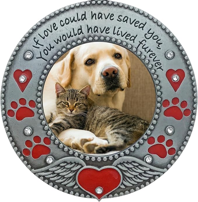 Pet Memorial Ornament - Dog or Cat - Set of 2 - Enameled & Jeweled with Red Hearts, Angel Wings & Paw Prints - Gift/Storage Bag Included