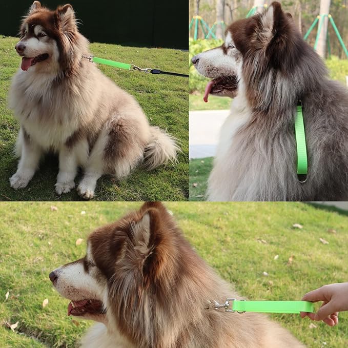 Traffic Dog Leash Dogs Training Leash Pet Traffic Grab Handle Training Tab Pets Leash Short Dog Leashes Dogs Training Lead Leashes (Green & Blue)