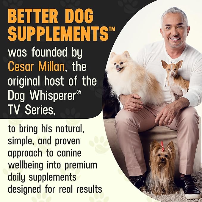 Better Dog Supplements Puppy Defense by Cesar Millan – Natural Immune Support Powder for Young Dogs – Immunity, Gut Balance, Digestive Health & Early Wellness – 4oz, (60-Day Supply)