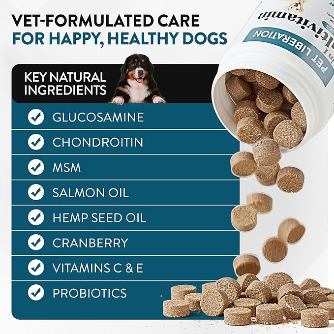 24-in-1 Daily Multivitamin for Dogs – 120 Soft Chews – Hip & Joint Support, Probiotics, Salmon Oil, Cranberry for Urinary Health, Skin & Coat, Immune Support – for All Breeds & Ages