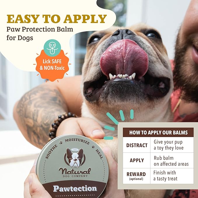 Natural Dog Company PawTection Balm for Dogs – Winter Paw Protection from Snow, Ice & Salt, Wax-Based Paw Barrier Balm, All Breeds for Cold Weather Walks & Outdoor Adventures, Lick-Safe, 1 oz Tin