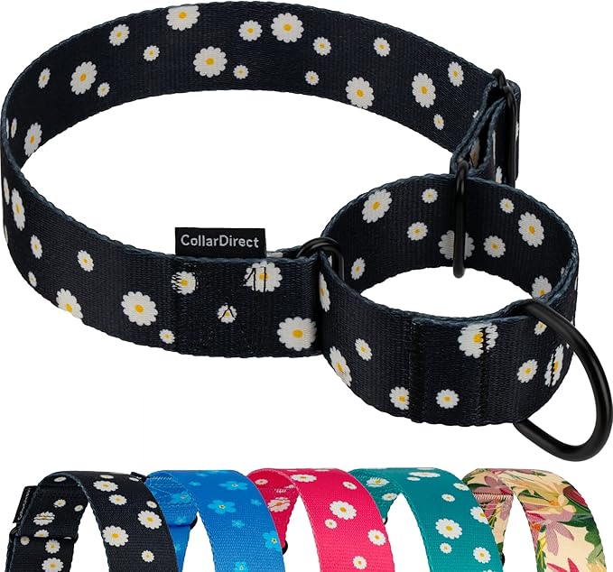 CollarDirect Martingale Collars for Dogs Heavy Duty Floral Pattern Female Safety Nylon Training Wide Collar Flower Design Large Medium (M, Neck Size 12"-17", Black)