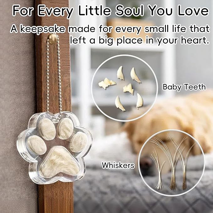 Pet Fur Keepsake Paw – Clear Acrylic Pet Memorial Ornament with Magnetic Openable Memory Chamber, Pet Loss Remembrance Gift for Dog, Cat & Small Animals