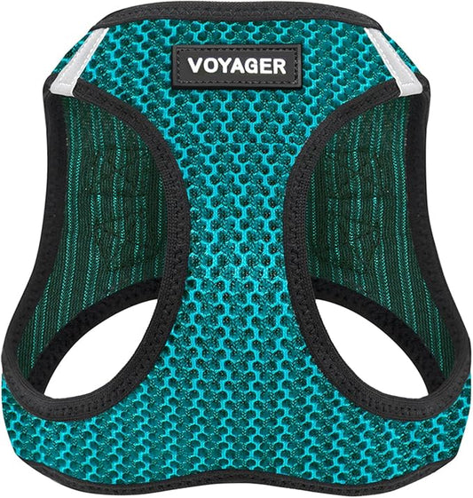 Best Pet Supplies Voyager Step-in Air Harness - All Weather Mesh, Reflective, No Pull Harness for Dogs, Cats - Secure with Hook & Loop Fastener, Buckle, Double D-Rings - Turqupise 2-Tone, M