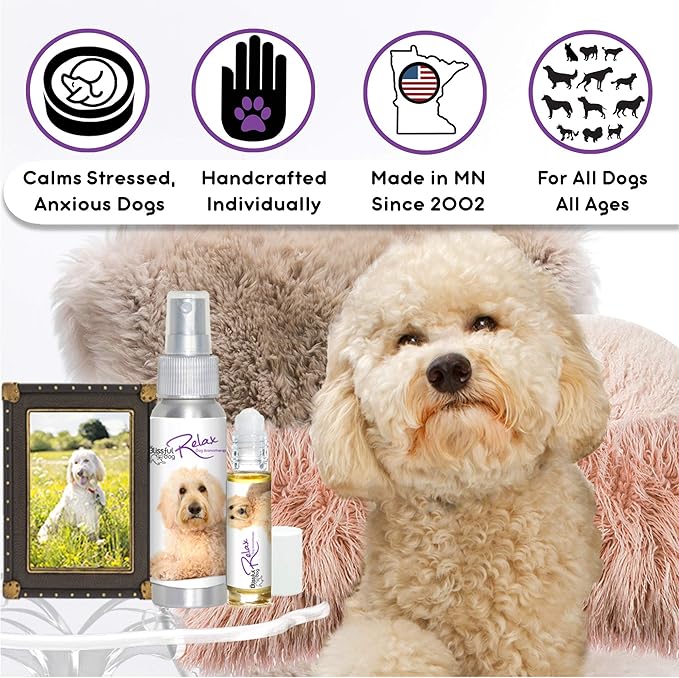 The Blissful Dog Goldendoodle Relax Roll-ON Aromatherapy for Dogs - Anxiety Relief for Dogs