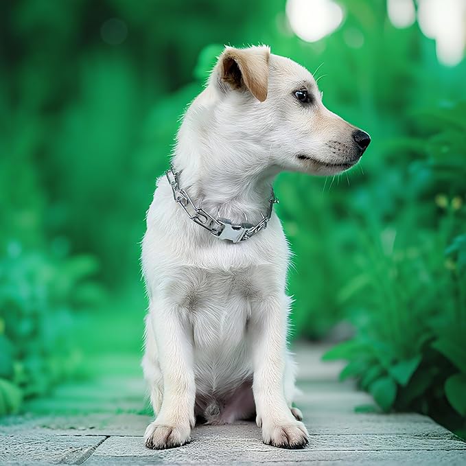 Adjustable Dog Ｎo Pull Ｃollar for Small Medium Large Dogs (Silver, M)