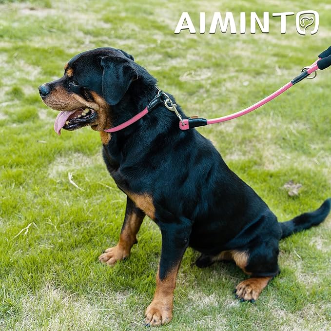 Dog Leash, Braided Rope Traction – Walking Training Lead for Medium/Large Dogs ((1/2") x 2FT, Pink)