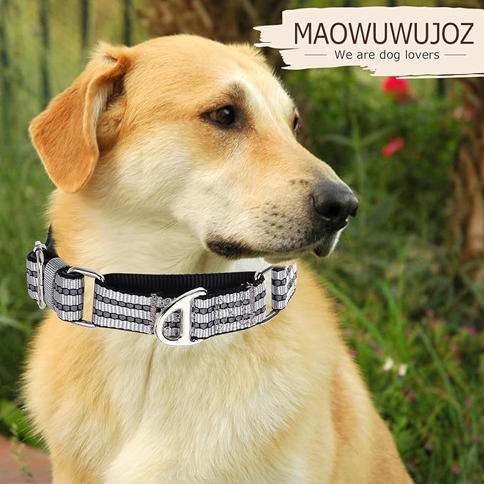 Martingale Dog Collars for Large Dogs, Reflective Nylon No Pull Choke Collar with Padded Comfort & Adjustable Safe Dog Collar No Buckle for Nighttime Walking & Training -Silver L