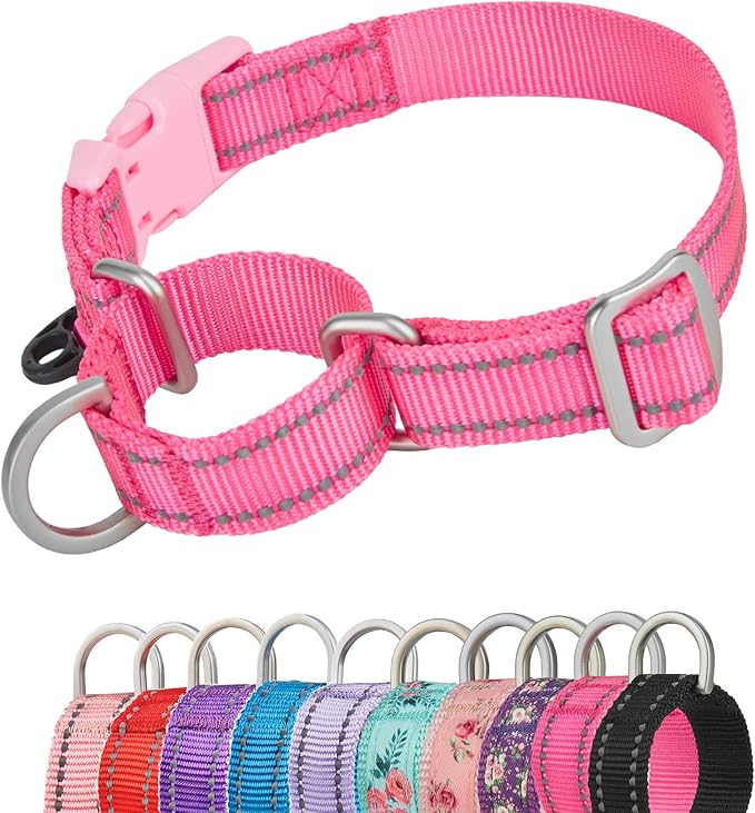 Reflective Martingale Collar for Dogs with Quick Snap Buckle Anti-Pull Nylon Safe Slip Collars for Easy Walking,Hot Pink,Small