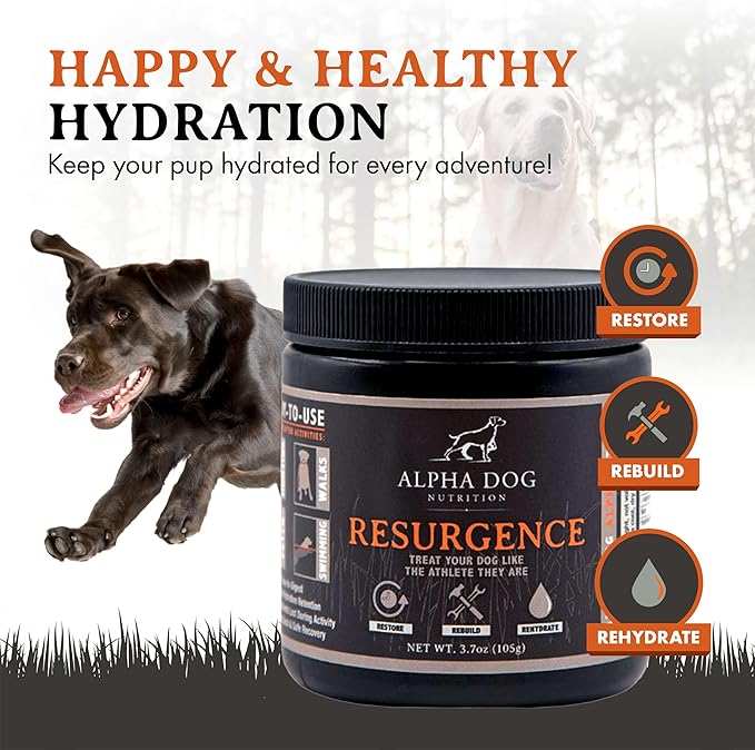 Resurgence Dog Electrolytes by Alpha Dog Nutrition | Promote Dog Hydration, Increase Stamina, and Boost Recovery | Electrolyte Water Additive or Food Topper to Prevent Dehydration with Beef Flavoring
