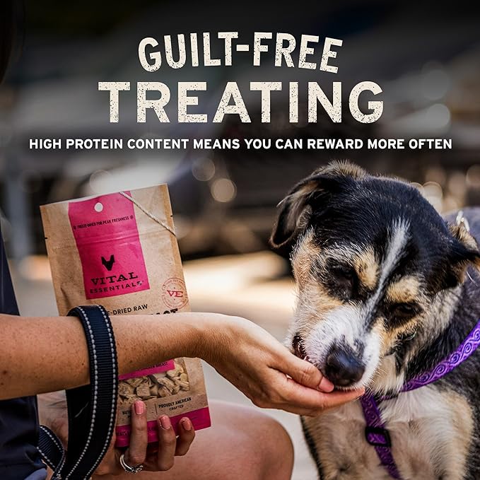 Vital Essentials Freeze Dried Dog Treats | Beef Tripe Nibs (Large Bites), Single Protein | Premium Quality | Grain Free Training Treats for Dogs, 14 oz Bag