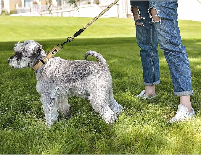 haapaw 2 Packs Martingale Dog Collar with Quick Release Buckle Reflective Dog Training Collars for Small Medium Large Dogs (L Neck 17"-21", Beige, 1+1 Packs)