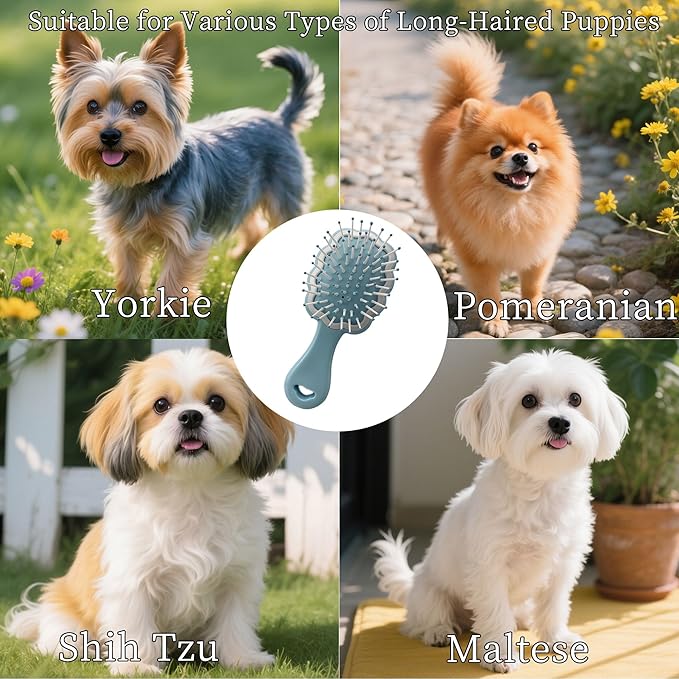 Gentle Cloud Air Cushion Brush Small Dogs Grooming with Gift Box, Fit for Yorkie, Shih Tzu, Pomeranian, Maltipoo, Maltese, Toy poodle, Puppy Essentials (Sky Blue)