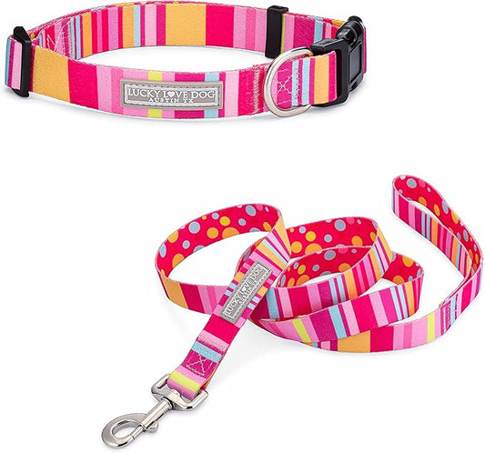 Lucky Love Dog Collar and Leash Set - Colorful Stripes, Yellow, Pink, Blue - Cute Female Dog Combo Set - Large, Molly Combo