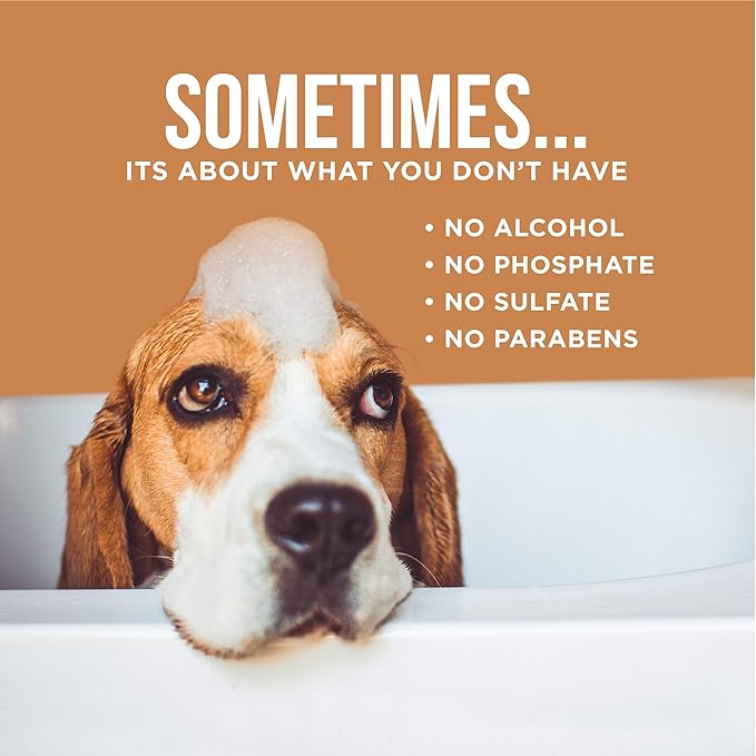 Natural Rapport Dog Deodorant Spray, The Only Between Bath Spray Dogs Need, Natural Cat and Dog Cologne Spray Eliminates Smelly Odours Between Baths (Male)