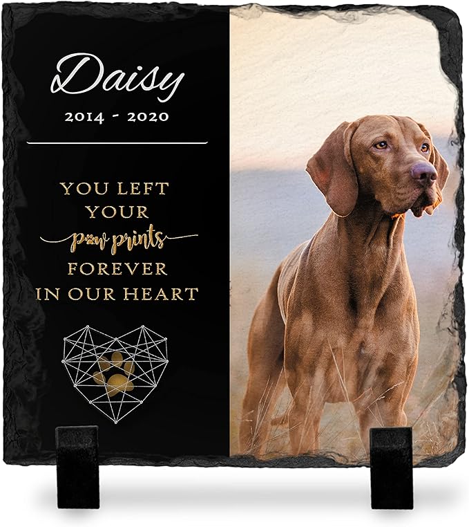 Brd Gifts Pet Memorial Stone with Photo - 6"x6" - 6 Designs - Pet Grave Marker - Pet Headstone | Dog Memorial Stone - Garden Memorial Stones - Personalized Memorial | Waterproof - Outdoor & Indoor #4