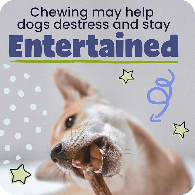 Pawstruck All-Natural 4" Bully Stick Rings for Dogs - Rawhide-Free, 100% Beef, Single Ingredient Dental Chew Bones - Fully Digestible, Low Odor - 3 Pack - Packaging May Vary
