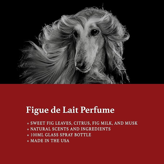 iGroom Pet Perfume Figue de Lait, Luxury Pet Beauty Care, Sweet Fig Scent, Long Lasting, Made in USA, 100 ml