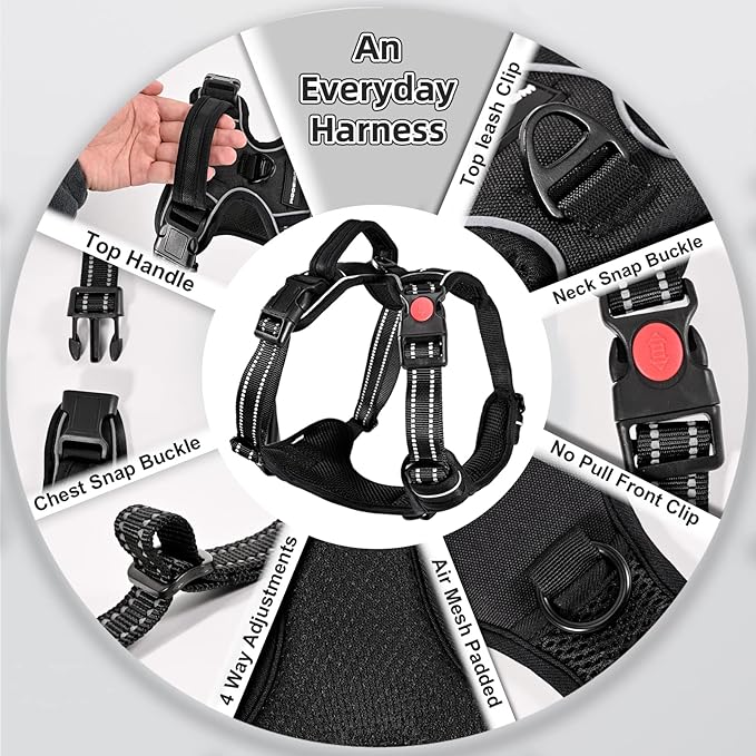No Pull Dog Harness & Leash - Adjustable Soft Padded Vest, Reflective Oxford Vest with Easy Control Handle for Small & Large Dogs (Black, Small)