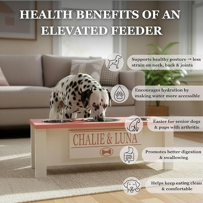 GTW Elevated 3 Bowl Dog Feeding Station - Customized Triple Stand for Small Dog Breeds - Includes Storage & Stainless Steel Bowls (Small, Blue)
