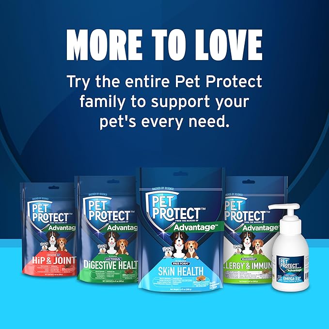 Pet Protect Skin Health Supplement for Dogs, Proprietary Free Form Blend, Bacon-Flavored Soft Chews (60 Count)