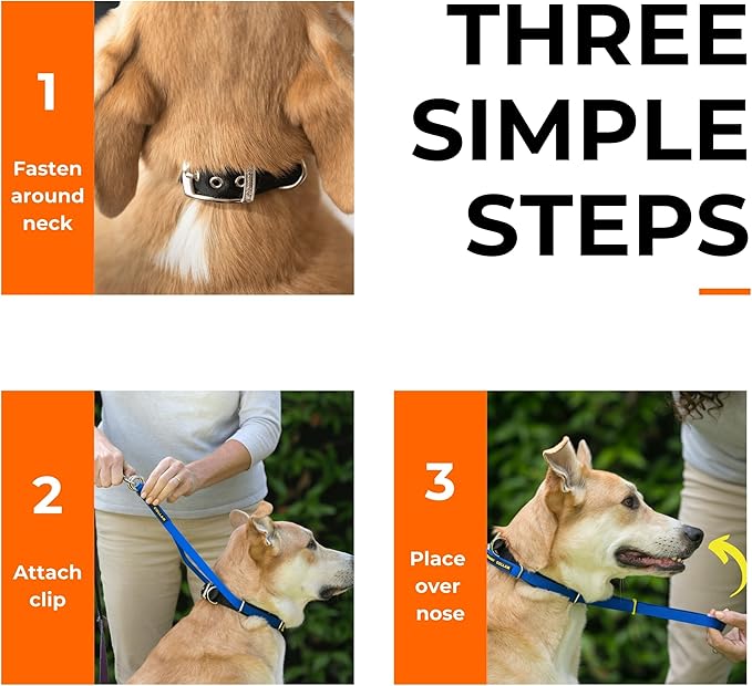 Canny Collar No-Pull Dog Head Collar | Train Your Dog to Stop Pulling & Walk On a Loose Leash | Gentle, Safe, Comfortable Training Aid | Medium Dogs | Red, Size 4