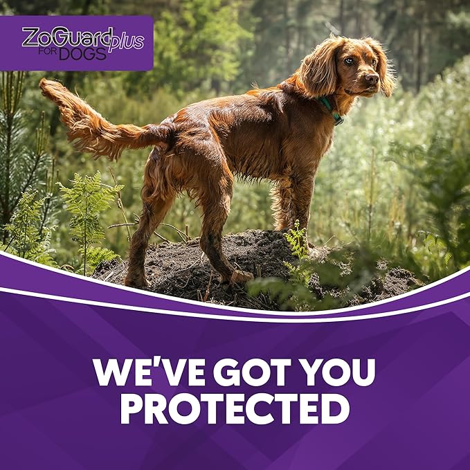 ZoGuard Plus Flea and Tick Prevention for Medium Dogs – Flea & Tick Prevention for Dogs 23-44lbs 6 Month Supply, Pack of 2