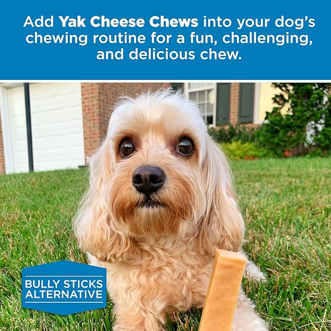 Best Bully Sticks Himalayan Yak Cheese for Dogs - X-Large 4 Count (Pack of 1) - Natural, No Lactose, Odor Free, Long-Lasting Snack