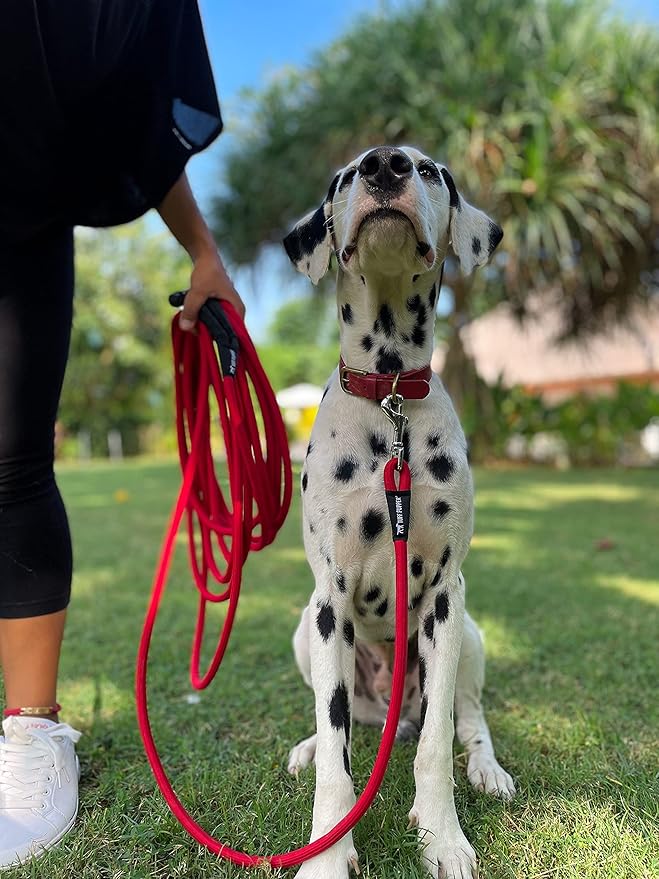 Tuff Pupper Heavy Duty 30 Foot Long Rope Leash for Dogs | Dog Recall Training Lead | High Visibility Strong Climbing Rope Leash | Hand or Waist Worn | Stainless Steel 360° Clips for Tangle Free Use