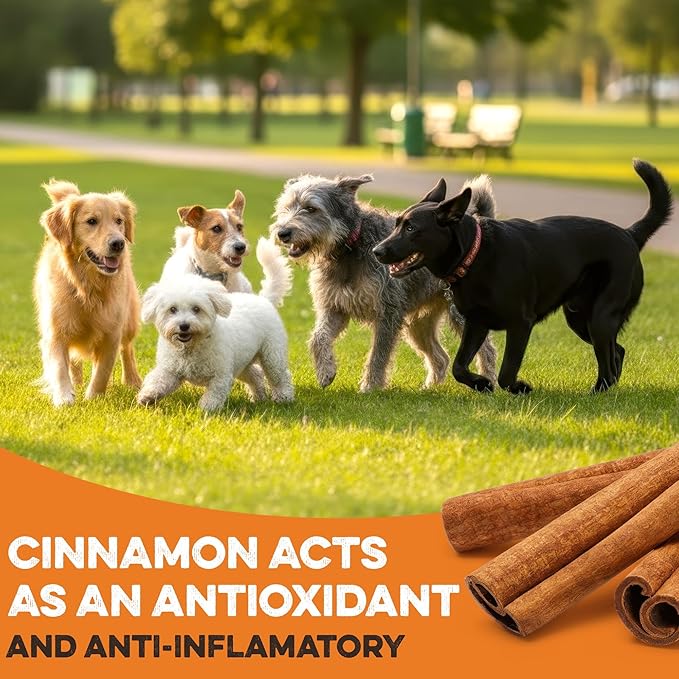 BRUTUS & BARNABY USA Sweet Potato Dog Treats - Crunchy Grain Free Cinnamon Apple Sticks, Promotes Positive Gut Health with Natural Anti-Diarrhea Properties (Cinnamon & Apple, 2 lb)