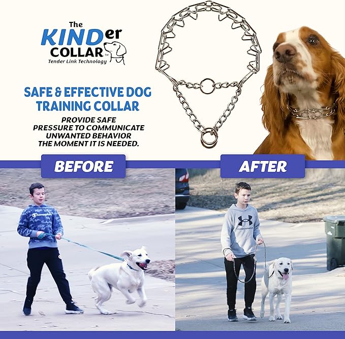 Best Dog Training Collar Adjustable Dog Collars for Medium Dogs to Large (3.0 mm) Width Stainless Steel Best Alternative to Dog Collar (3.0 MM * Neck Size Up to 21")