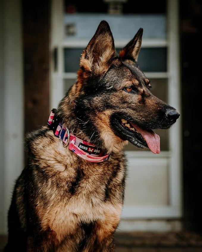Boss Dog Tactical Collar, Pink Camo, Medium