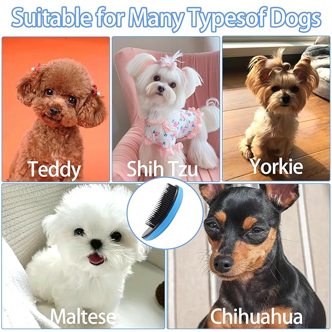 Small Dog Brush Puppy Brush for Small Dogs Soft Dog Bath Brusher Gentle Dogs Hair Remover Brushes Grooming Tool for Teddy Yorkies Maltese Shih Tzu Chihuahua Puppy Hair Brushes, Blue