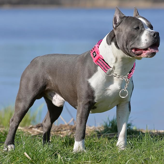 MAOWUWUJOA Martingale Collar for Dogs Reflective Nylon Dog Collar with Quick Release Buckle Adjustable Training No Slip Dog Collars (Pink,Medium)