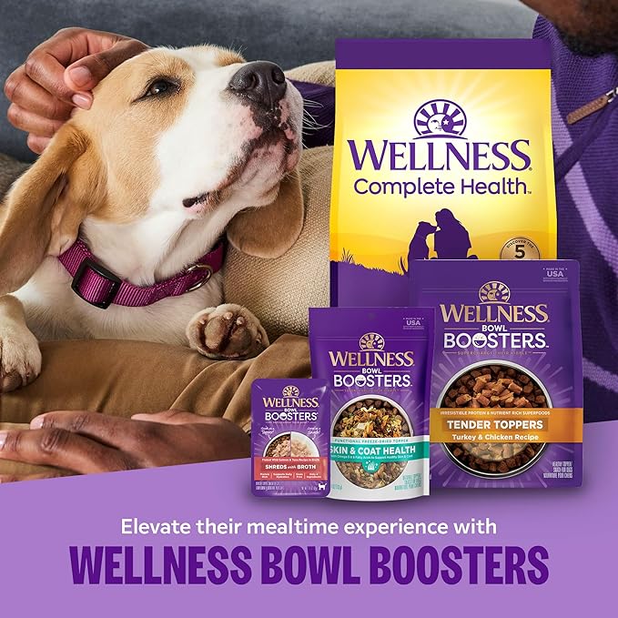Wellness Complete Health Puppy Dry Dog Food, Small Breed, Wholesome Grains, Natural, Turkey, Oatmeal, & Salmon Recipe, (4-Pound Bag)