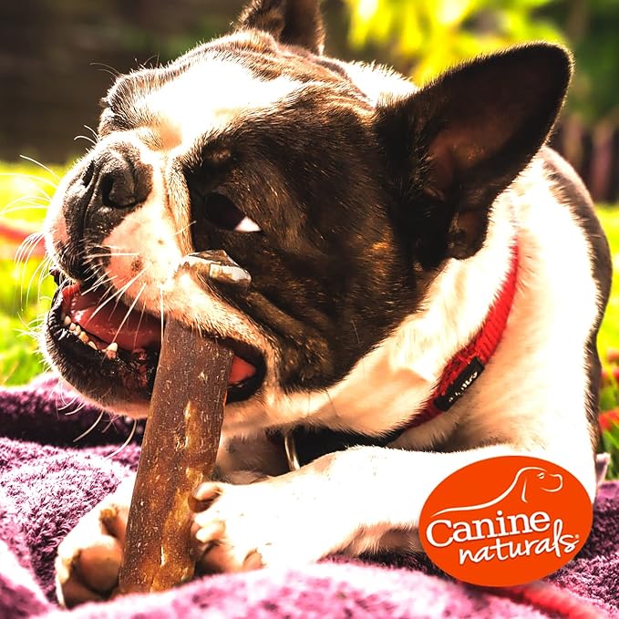Canine Naturals Peanut Butter Chew - 100% Rawhide Free Dog Treats - Made with Real Peanut Butter - All-Natural and Easily Digestible - 6 Count of 2.5 Inch Mini Rolls for Dogs Under 20lbs