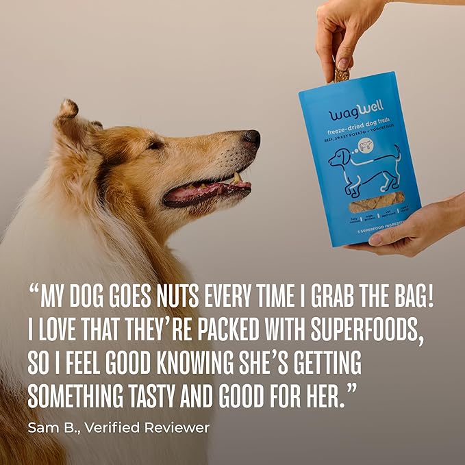 WagWell Freeze Dried Dog Treats, Beef + Yogurt + Sweet Potato Flavor | Training Treats, Food Topper, Healthy Snack for Dogs | Human Grade, Grain Free, High Protein | Made in USA | 4 oz Bag, 1 Pack