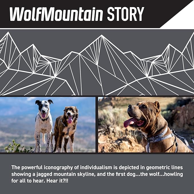 Wolfgang Heavy Duty Martingale Dog Collar with Quick Release Nylon Buckle for Walking & Training, WolfMountain Print, Large