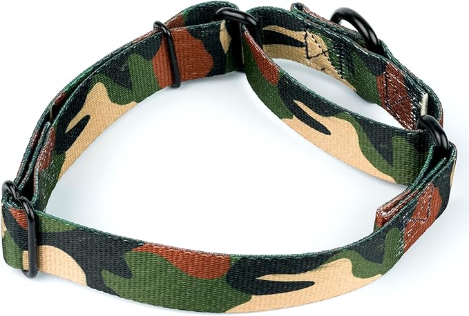 Country Brook Petz - Woodland Camo HD Martingale Dog Collar - Camouflage Collection Featuring Rugged Designs (1 Inch, Large)