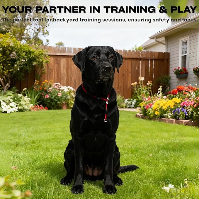 Heavy Duty Steel Wire Dog Training Collar - PVC Coated Martingale Slip Collar with Adjustable Safety Stopper for No-Pull Walking & Obedience Black 0.197" D/27.56" L