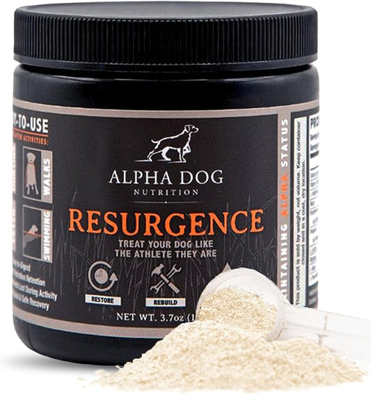 Resurgence Dog Electrolytes by Alpha Dog Nutrition | Promote Dog Hydration, Increase Stamina, and Boost Recovery | Electrolyte Water Additive or Food Topper to Prevent Dehydration with Beef Flavoring