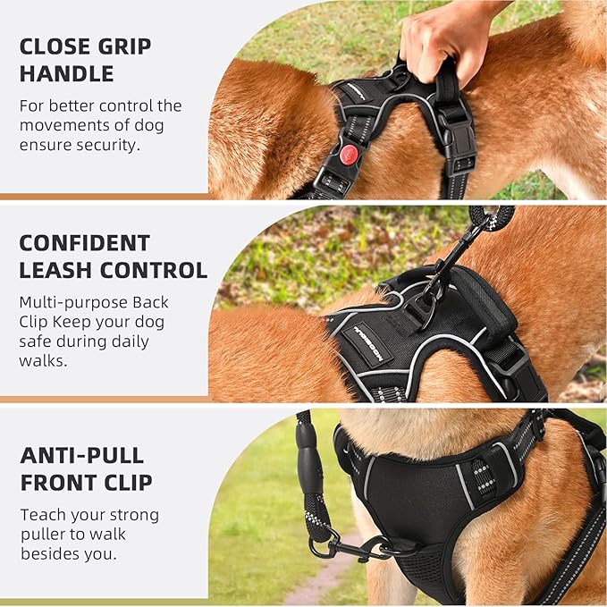 No Pull Dog Harness with Free Heavy Duty 5ft Leash, Adjustable Soft Padded Dog Vest, Reflective No-Choke Oxford Vest with Easy Control Handle (Black, X-Large)