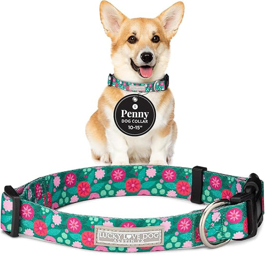 Lucky Love Dog - Adjustable Dog Collar with Easy Click Buckle for Small Dogs, Durable, & Comfortable for Male & Female Dogs, Pet Collar for Puppies & Adult Ones - Penny, Small