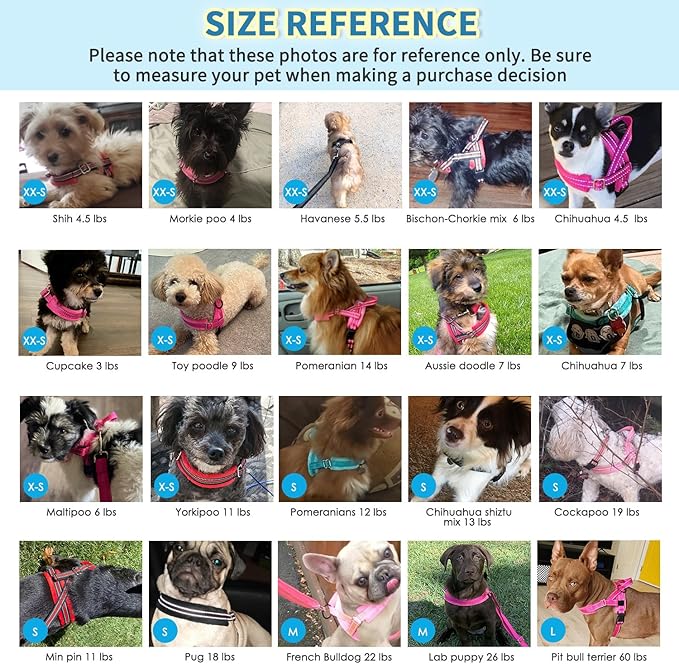 Lukovee No Pull Dog Harness and Leash Set, Soft Padded Small Dog Harness, Neck & Chest Adjustable Reflective Vest Puppy Harness with 4ft Lightweight Anti-Twist Dog Leash for Small Dogs (M, Fuschia)