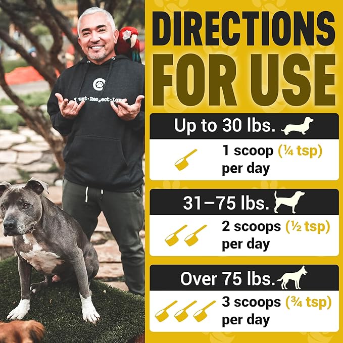 Better Dog Supplements Skin Magic by Cesar Millan – Natural Skin and Coat Supplement for Dogs Irritation from Seasonal Factors, Hot Spots, & Itch Relief Dog Skin Supplement – 4oz (60-Day Supply)